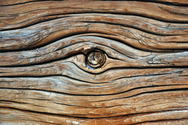 Similar image 7734009