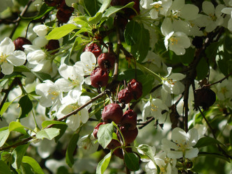 Similar image 7734246