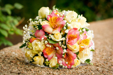 Similar image 7734251