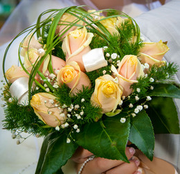 Similar image 7734252