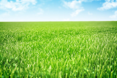 Similar image 7734254