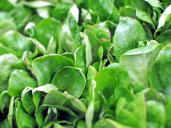 Similar image 7734258