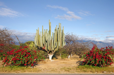 Similar image 7734305