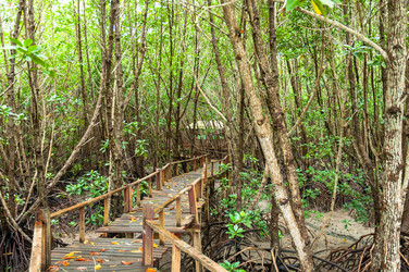 Similar image 7734504