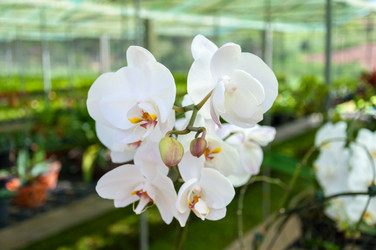 Similar image 7734517