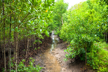 Similar image 7734535