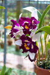 Similar image 7734536