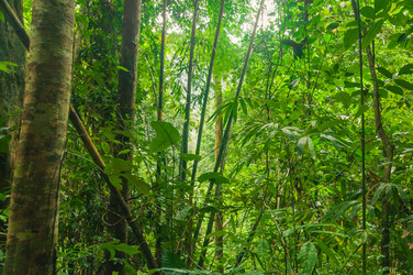 Similar image 7734537