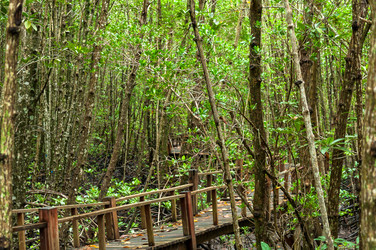 Similar image 7734568