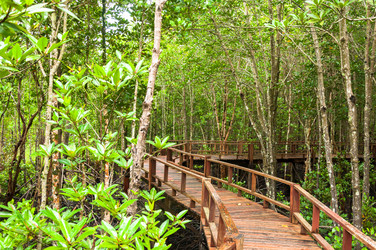 Similar image 7734569