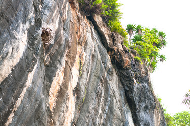 Similar image 7734571