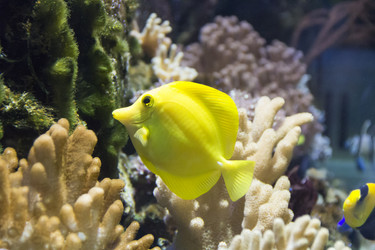 Similar image 7734576