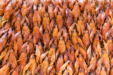 Similar image 7734581