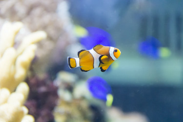 Similar image 7734583