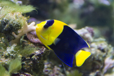 Similar image 7734586