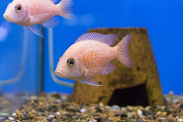 Similar image 7734587