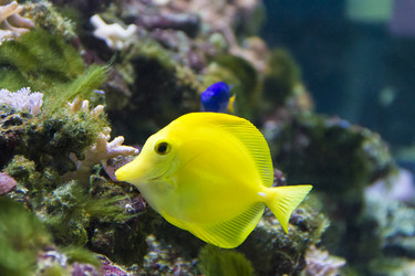 Similar image 7734588