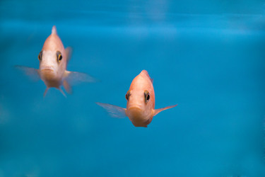 Similar image 7734589