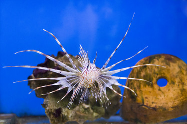 Similar image 7734590