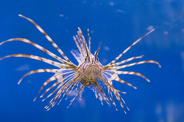 Similar image 7734591