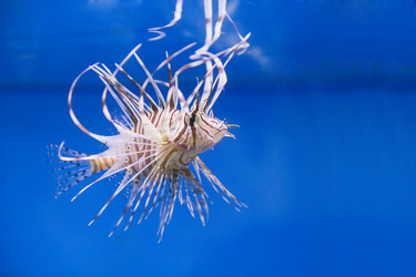 Similar image 7734592