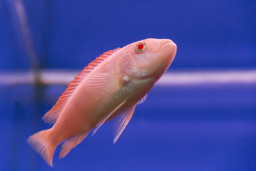 Similar image 7734605