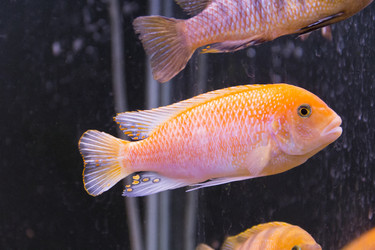 Similar image 7734606