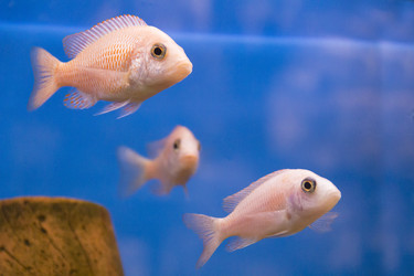 Similar image 7734608