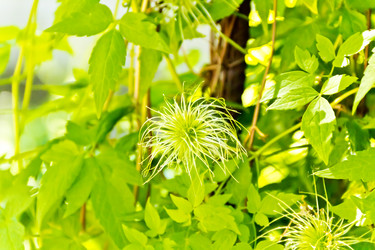 Similar image 7734610