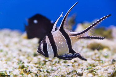 Similar image 7734611