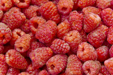 Similar image 7734659