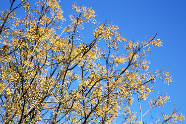 Similar image 7734733