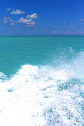 Similar image 7734740