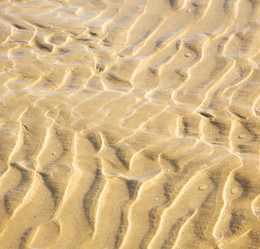 Similar image 7734782