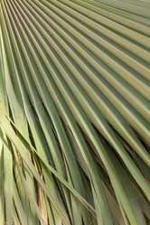 Similar image 7735211