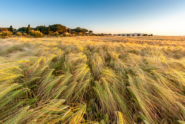 Similar image 7735230