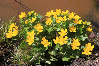 Similar image 7735232