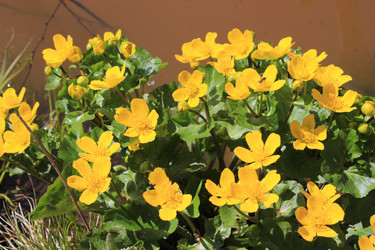 Similar image 7735233