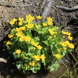 Similar image 7735237