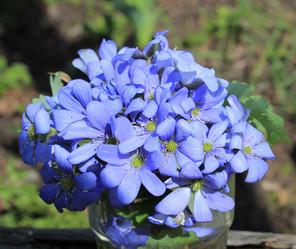 Similar image 7735291