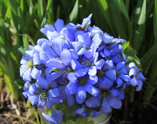 Similar image 7735296