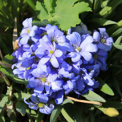 Similar image 7735297