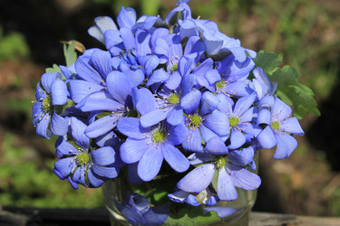 Similar image 7735299