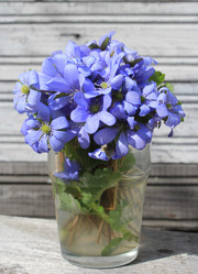 Similar image 7735300