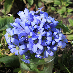 Similar image 7735301