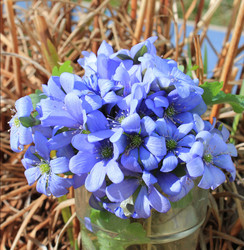 Similar image 7735302