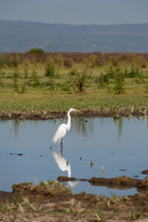 Similar image 7735308