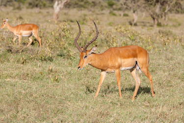 Similar image 7735347