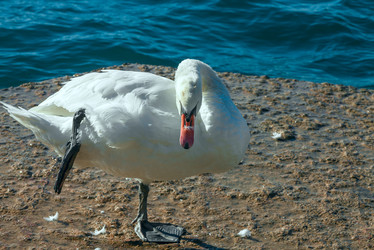 Similar image 7735459