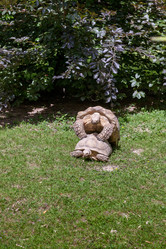 Similar image 7735467